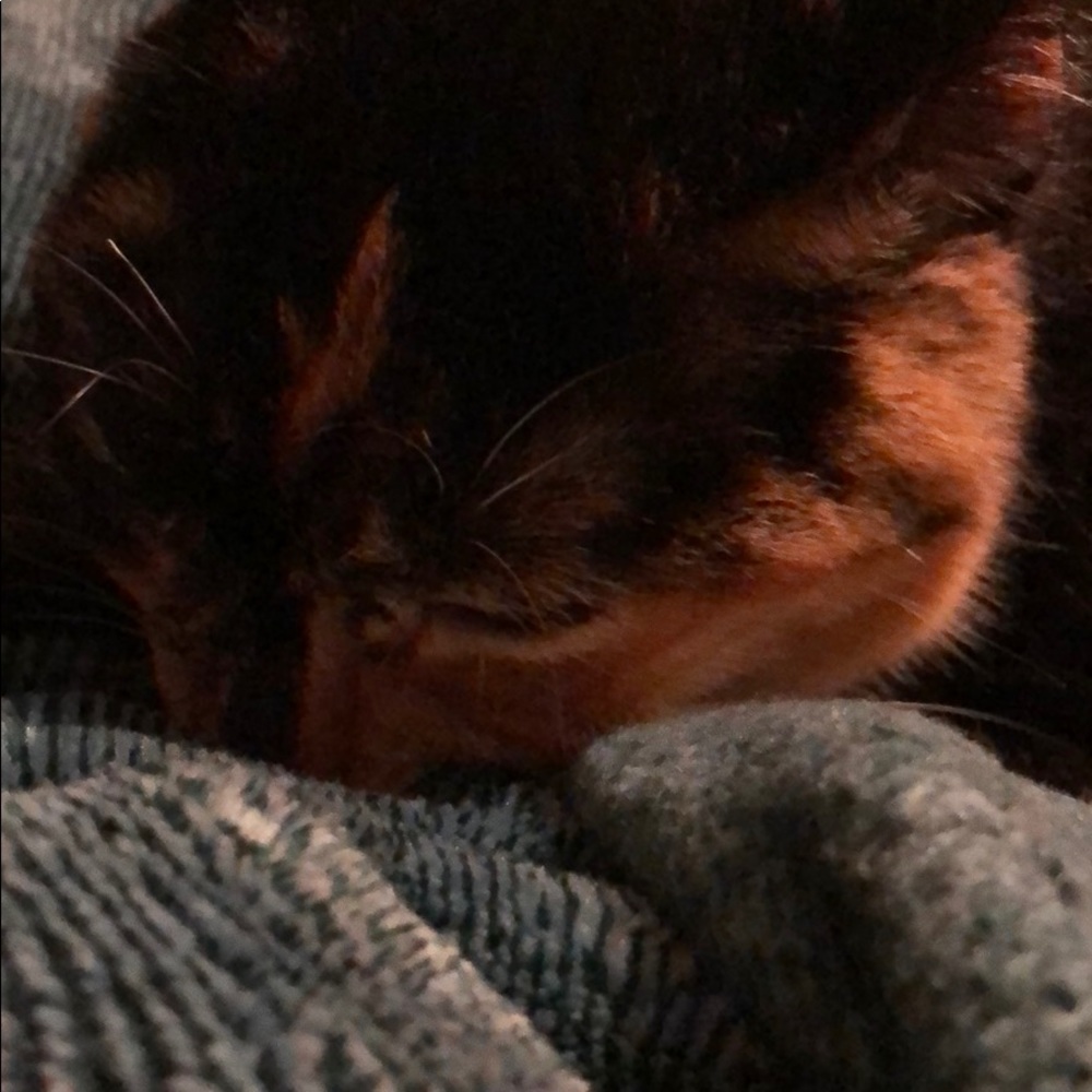 Meet your Posher, Rahni